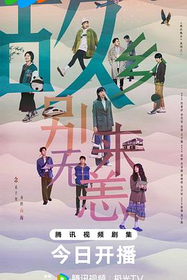 新昌网站优化公司费用